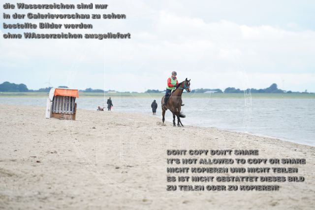 s_K3F04957.JPG
